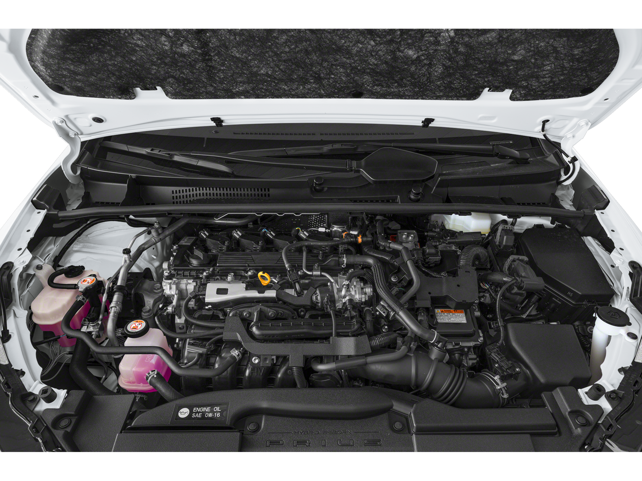 2023 Toyota Prius XLE