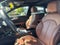 2023 Audi A5 Sportback 45 S line Premium Plus quattro