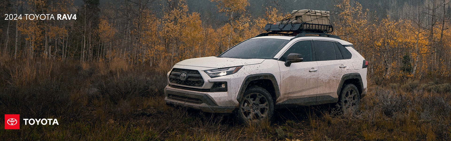 2024 Toyota RAV4 in Chehalis, WA