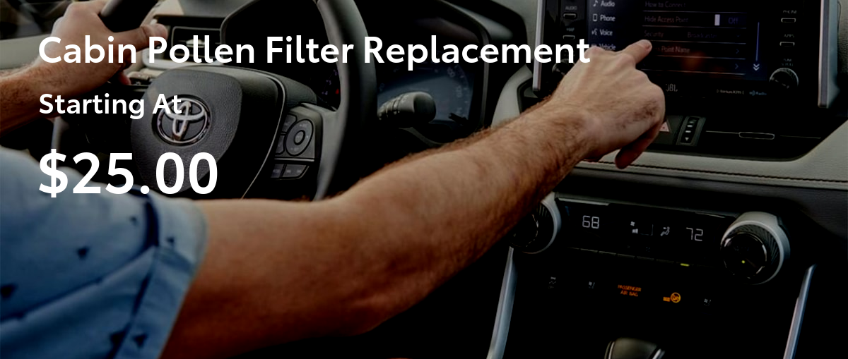 Cabin Pollen Filter Replacement